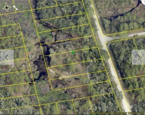 CHIMNEY ROCK DRIVE, WEBSTER, FL — photo 5 of 6