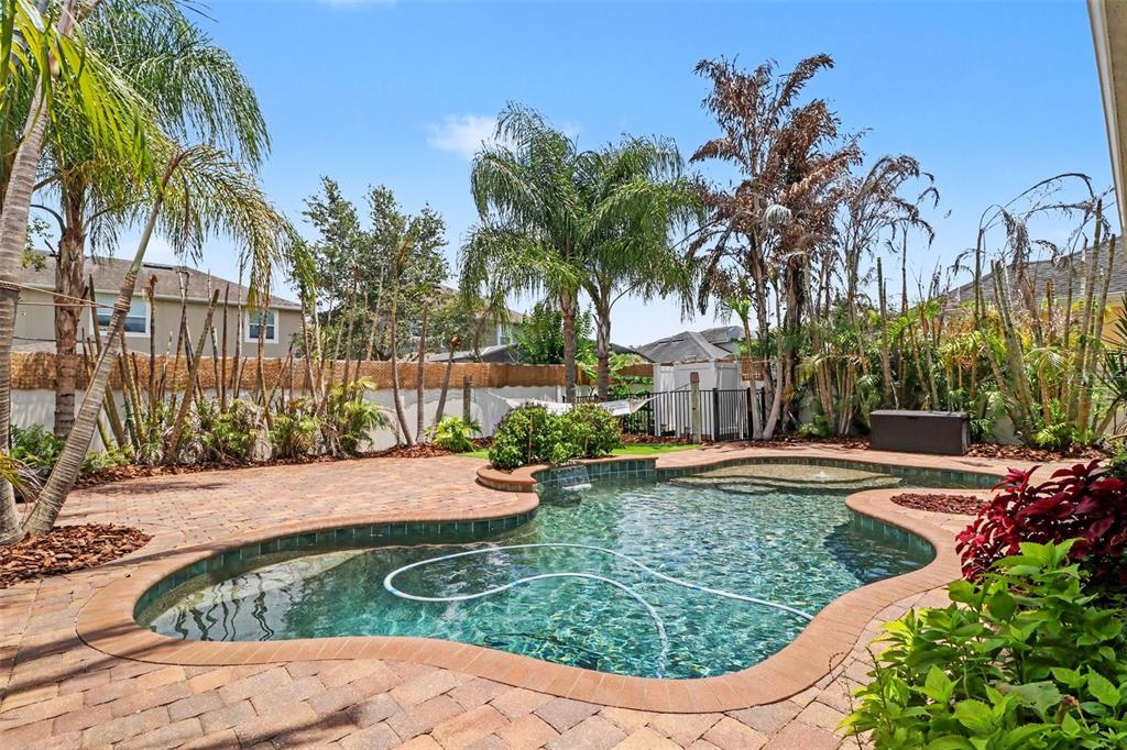 A backyard features a freeform swimming pool surrounded by a brick paver patio and landscaping — 10651 LANGEFIELD STREET, ORLANDO, FL