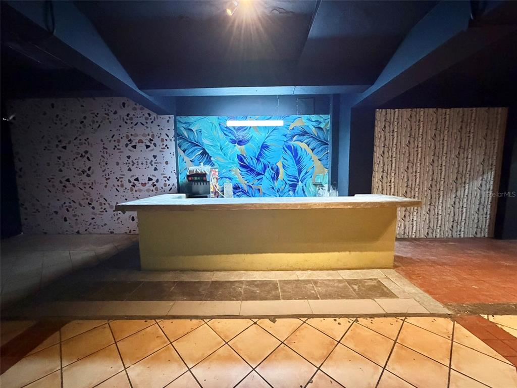 A basement bar area features a concrete counter, a blue leaf-patterned mural, and tiled flooring — 1204 PONCE DE LEON AVENUE UNIT LOCAL A, SAN JUAN, PR