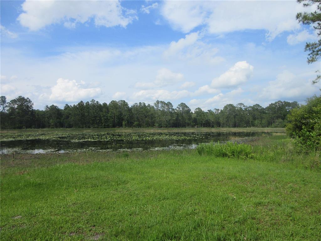 A grassy field leads to a pond bordered by a dense forest under a cloudy sky — 0 SE 10TH STREET, SILVER SPRINGS, FL