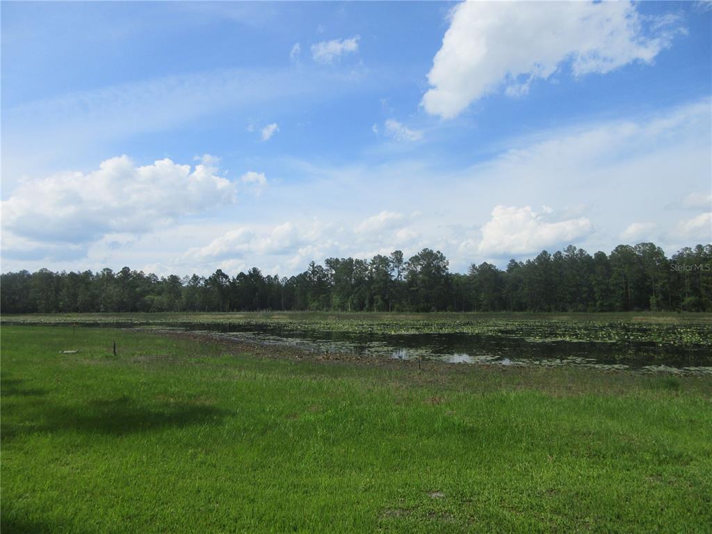 A grassy field leads to a pond bordered by a line of trees under clouds — 0 SE 10TH STREET, SILVER SPRINGS, FL