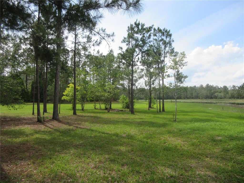 A grassy field with scattered trees leads to a pond under a blue sky — 0 SE 10TH STREET, SILVER SPRINGS, FL