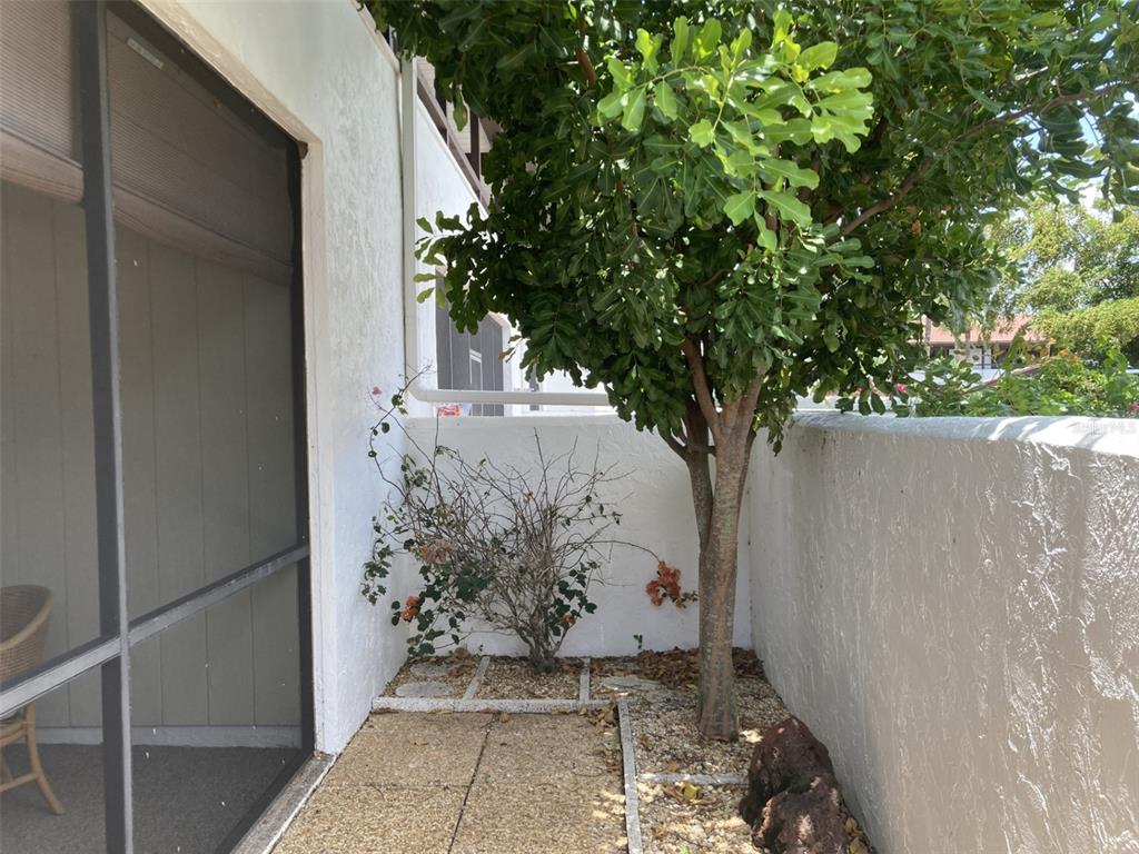 A small outdoor patio features a tree, a shrub, gravel ground, and a screen door — 331 BARCELONA DRIVE UNIT 331, BRADENTON, FL