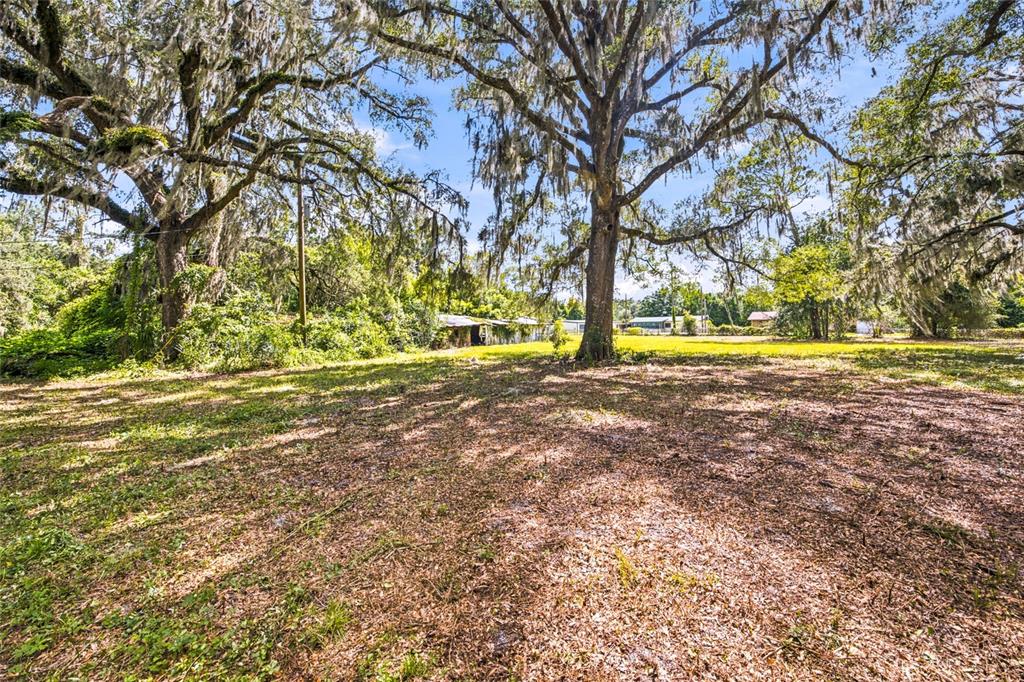 A large, grassy lot features several mature oak trees draped in Spanish moss — 5398 SE 141ST STREET, SUMMERFIELD, FL