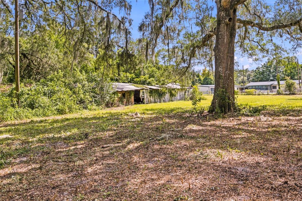 A large, weathered shed sits on a grassy lot shaded by mature oak trees — 5398 SE 141ST STREET, SUMMERFIELD, FL