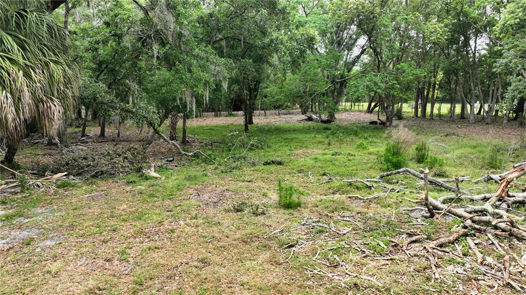 A wooded lot features scattered fallen branches, patches of grass, and dense surrounding trees — OLD CONE GROVE ROAD, RIVERVIEW, FL