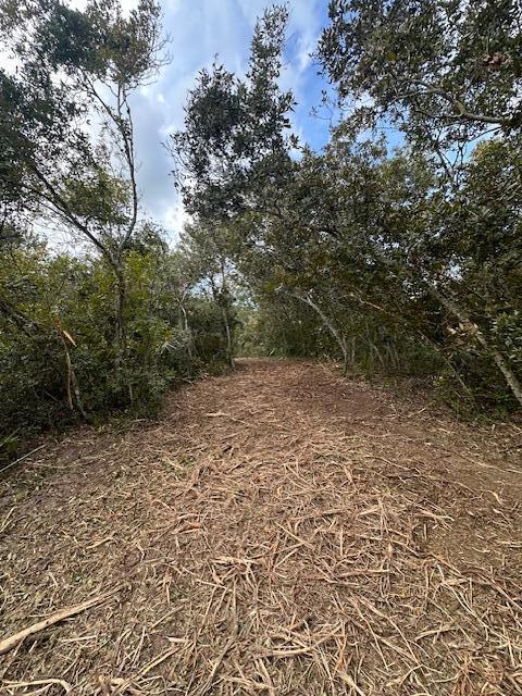 A cleared dirt path winds through a wooded area covered in scattered brush and leaves — 0 Tbd, Fort Pierce FL 34949, FORT PIERCE, FL