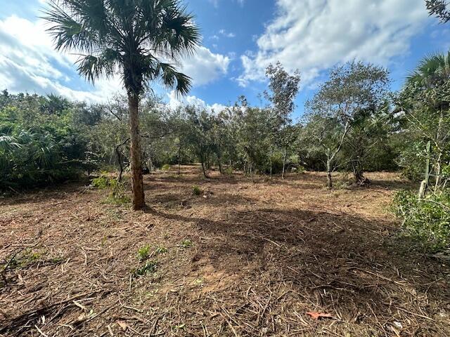 A cleared, wooded lot features a tall palm tree under a blue sky — 0 Tbd, Fort Pierce FL 34949, FORT PIERCE, FL