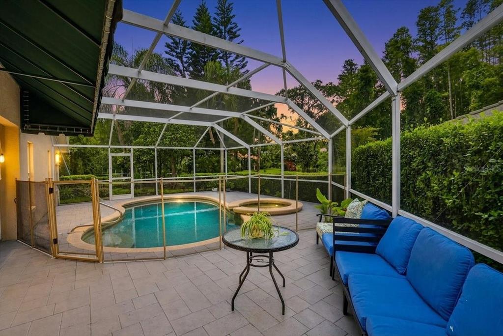 A screened-in patio features a swimming pool, a hot tub, and blue outdoor furniture — 5539 AVENUE DU SOLEIL, LUTZ, FL