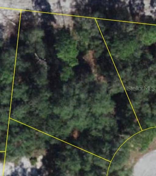 This is an aerial map view of a wooded, irregularly shaped residential lot — 1206 VERNON LANE, POINCIANA, FL