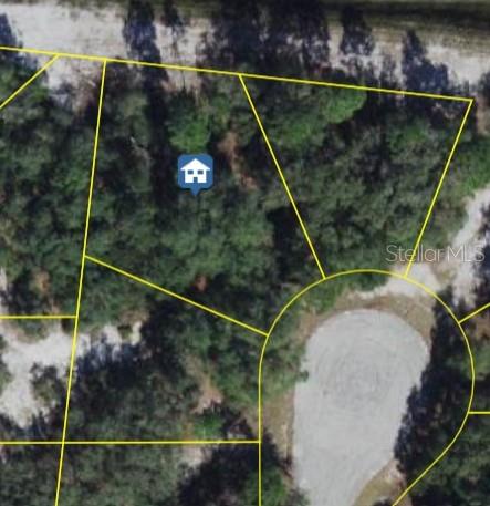 This is an aerial map view of a wooded residential lot in a cul-de-sac — 1206 VERNON LANE, POINCIANA, FL