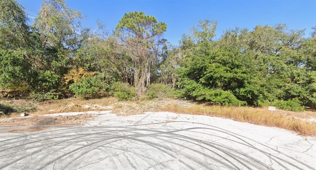 A paved cul-de-sac area sits in front of a dense, wooded lot under a clear sky — 1206 VERNON LANE, POINCIANA, FL
