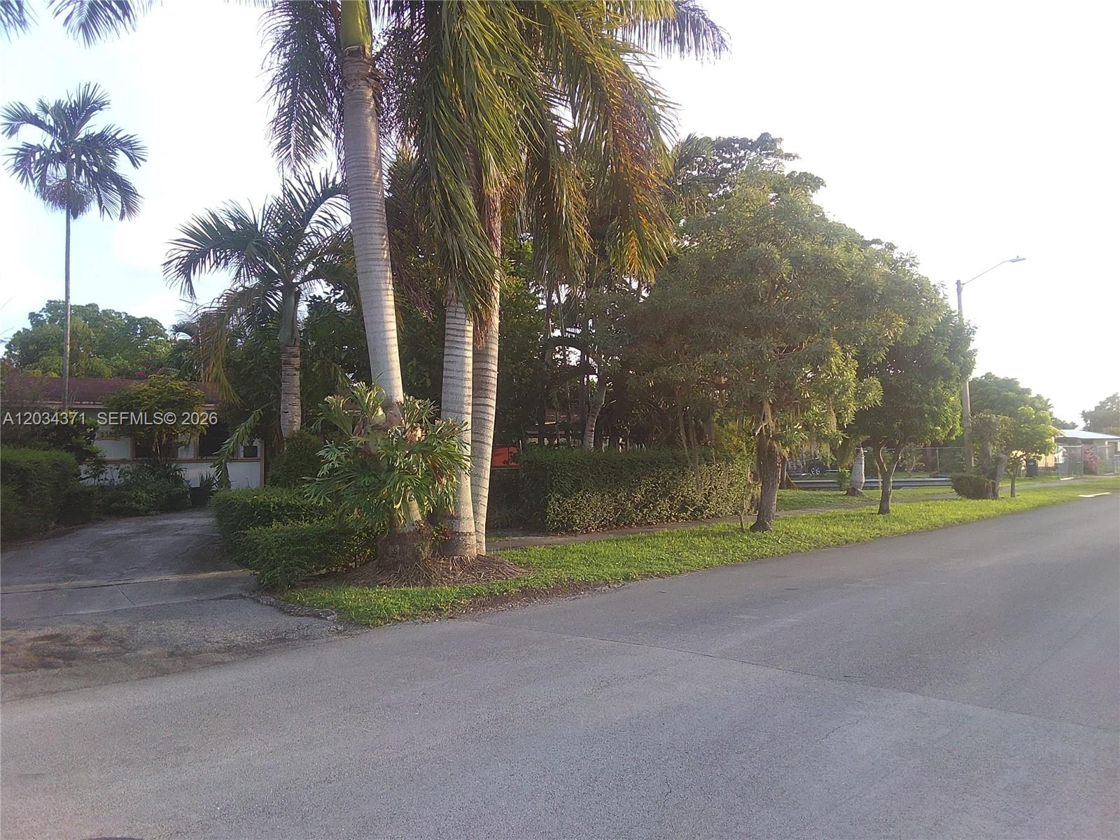 A paved street leads to a residential property featuring palm trees and a manicured hedge — 5300 SW 103rd Pl, Miami FL 33165, MIAMI, FL