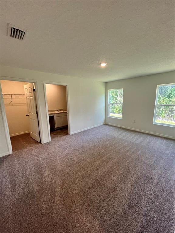 A carpeted bedroom features two windows, a walk-in closet, and an attached bathroom vanity area — 10115 MCMAHON AVENUE, HASTINGS, FL