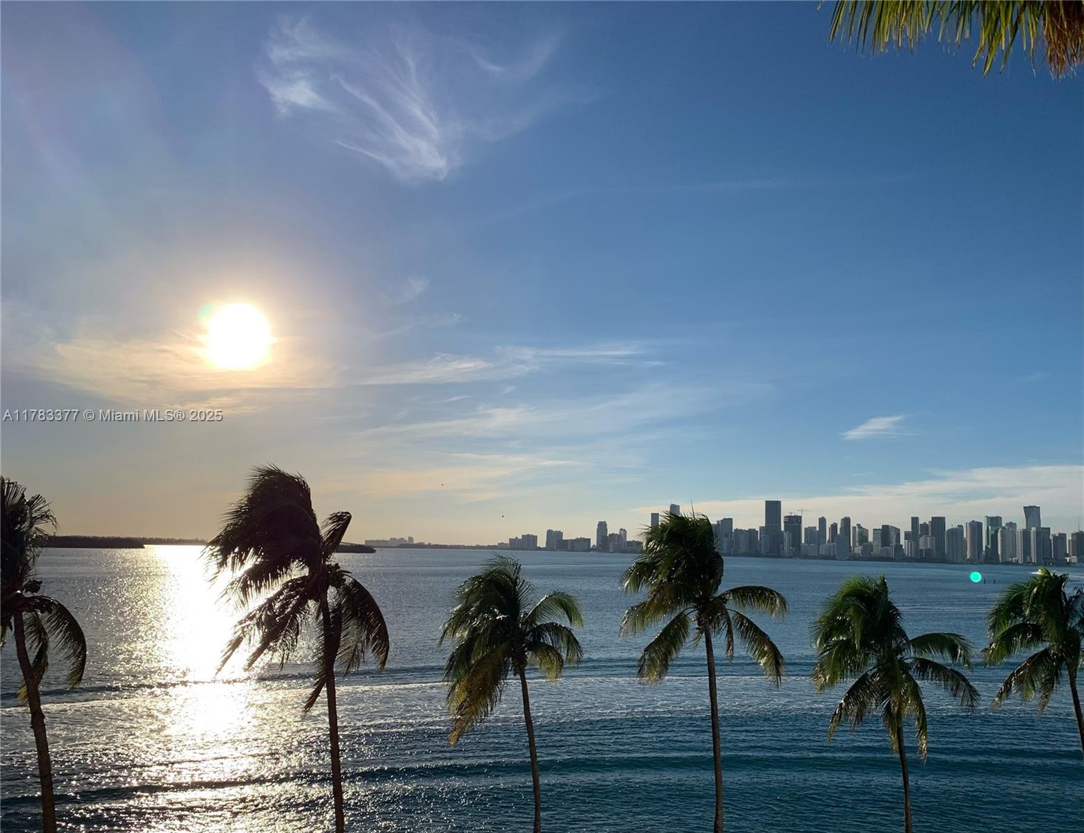 A view of the ocean and city skyline with palm trees in the foreground — FISHER ISLAND, FL