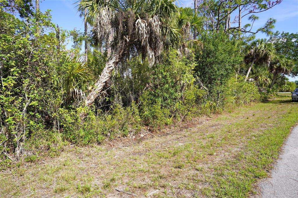 A grassy roadside borders a dense area of Florida palm trees and thick vegetation — 510 DAILEY STREET, PORT CHARLOTTE, FL