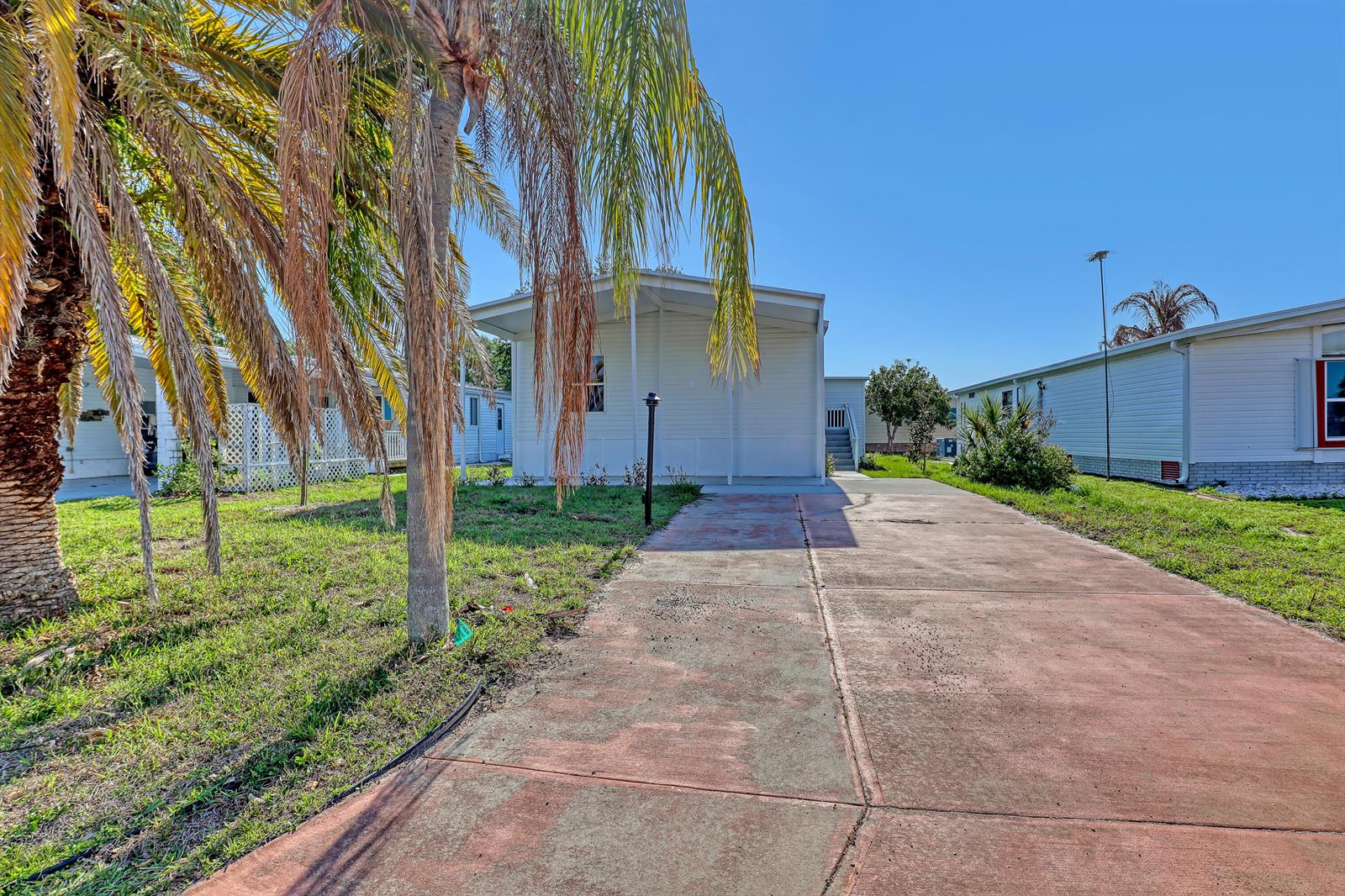 A white manufactured home features a red concrete driveway and a large palm tree — 1479 Barefoot Circle, Sebastian FL 32976, SEBASTIAN, FL