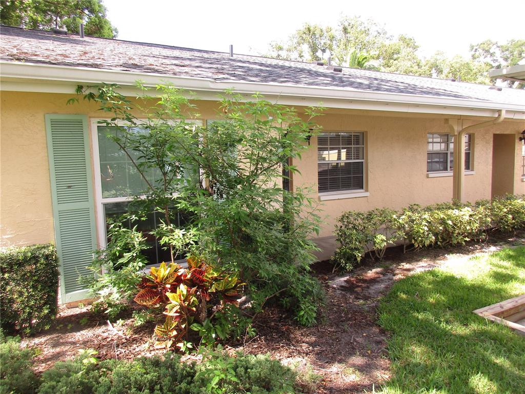 The exterior of a single-story house with beige stucco walls, green shutters, and landscaping — 2465 NORTHSIDE DRIVE UNIT 1901, CLEARWATER, FL