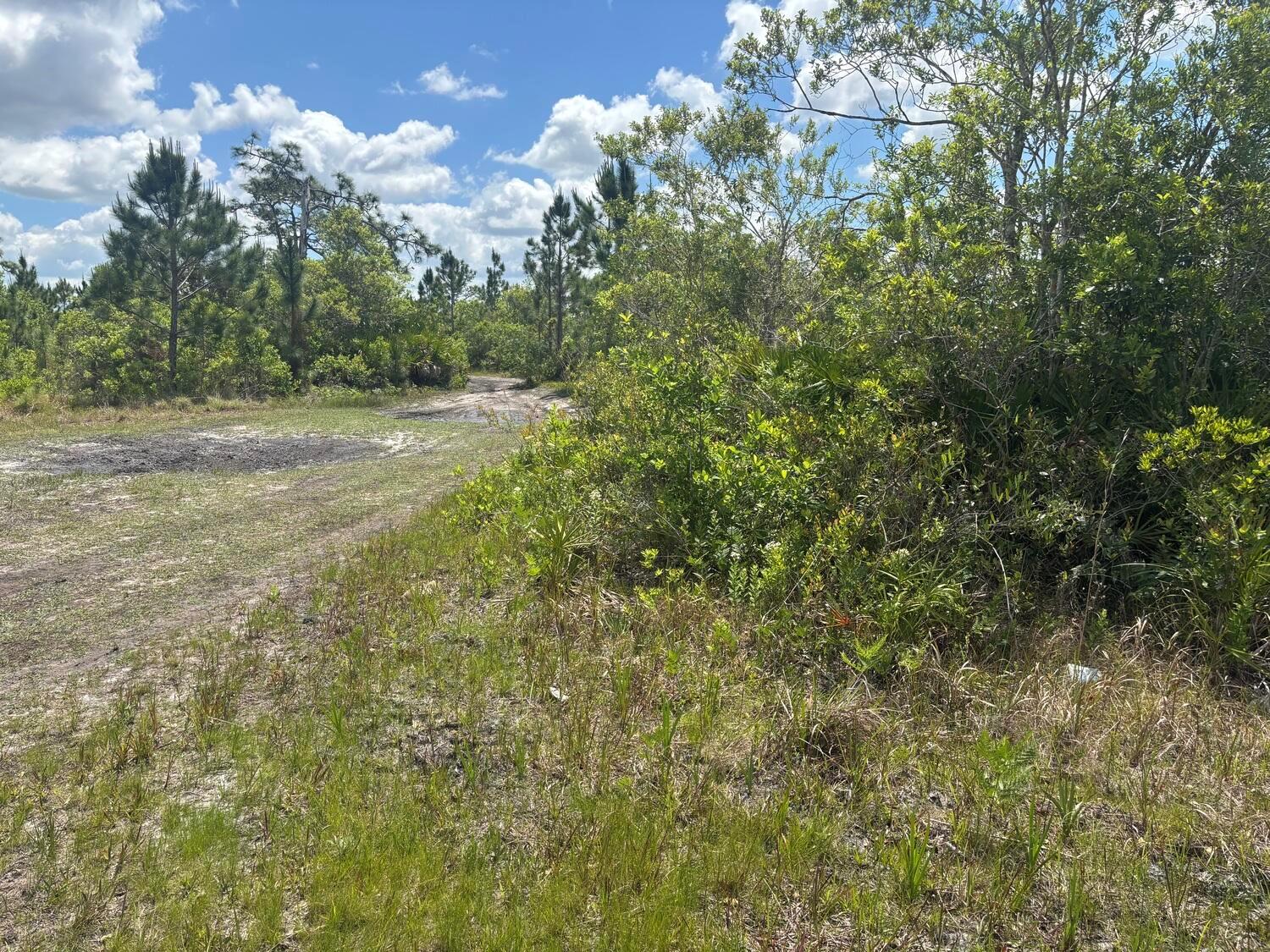 A dirt path leads through a grassy, wooded area under a bright, partly cloudy sky — 0 Holopaw Groves Road, FL 34772, FL