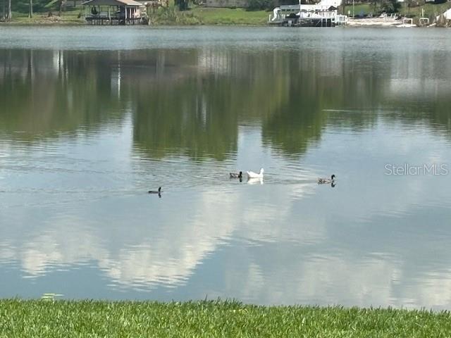 Three ducks swim on a calm lake with a boat dock in the background — 528 ORANGE DRIVE UNIT 26, ALTAMONTE SPRINGS, FL