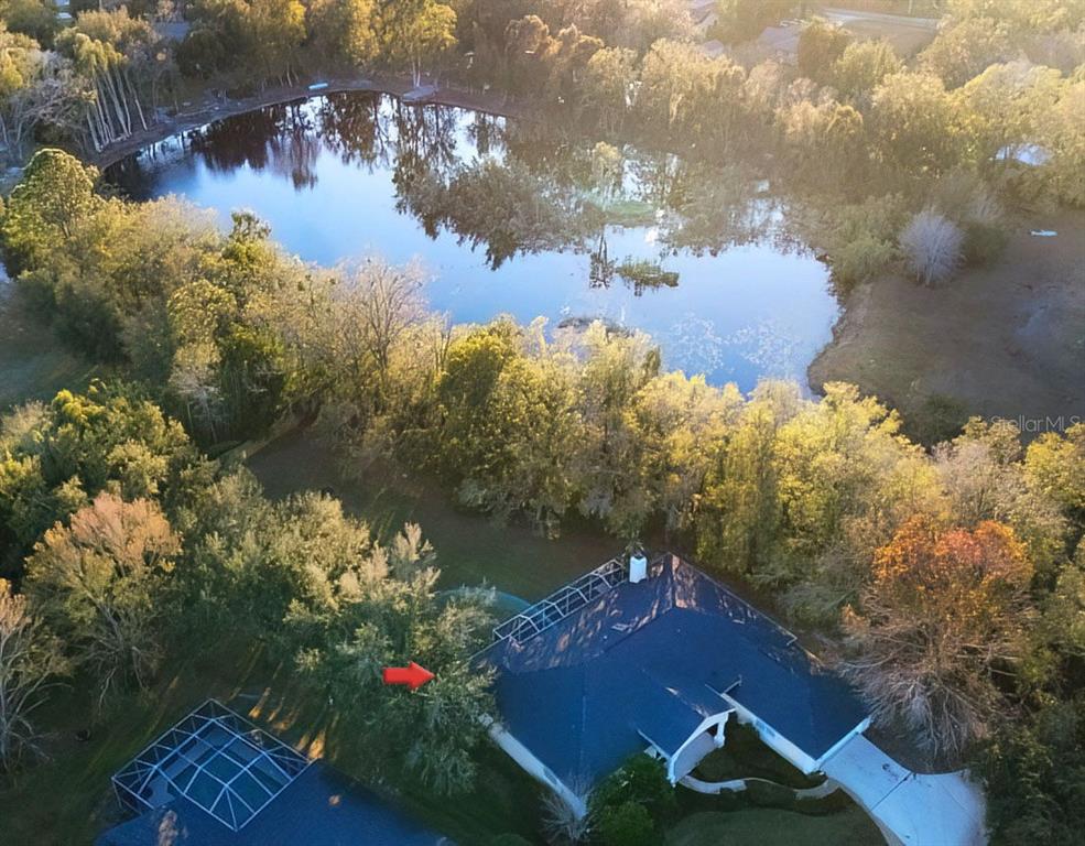 814 BRANTENBURG WAY, LUTZ, FL — photo 3 of 30