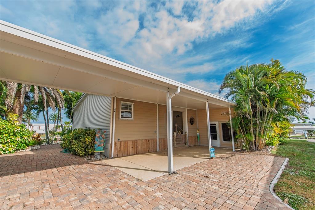 46 ALLIGATOR AVENUE