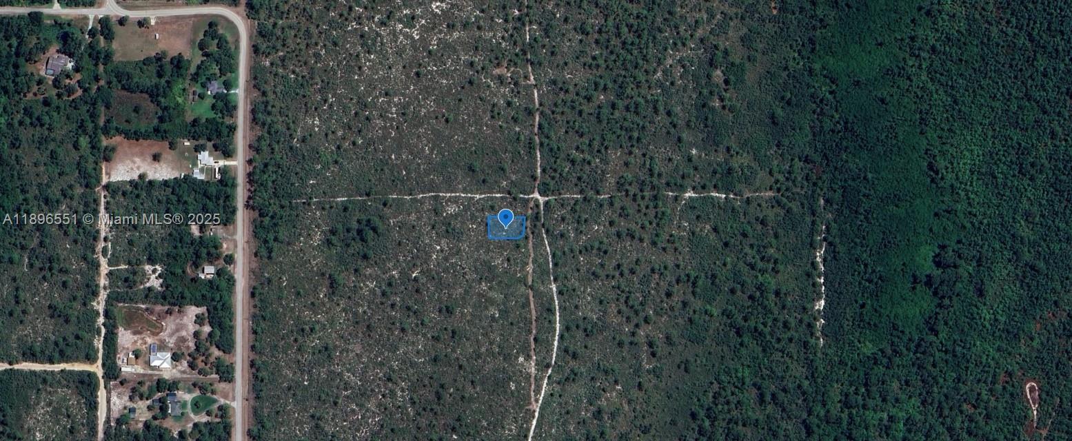 This is an aerial map view of a wooded lot with a blue location marker — 700 Watterson, Lake Placid FL 33852, LAKE PLACID, FL
