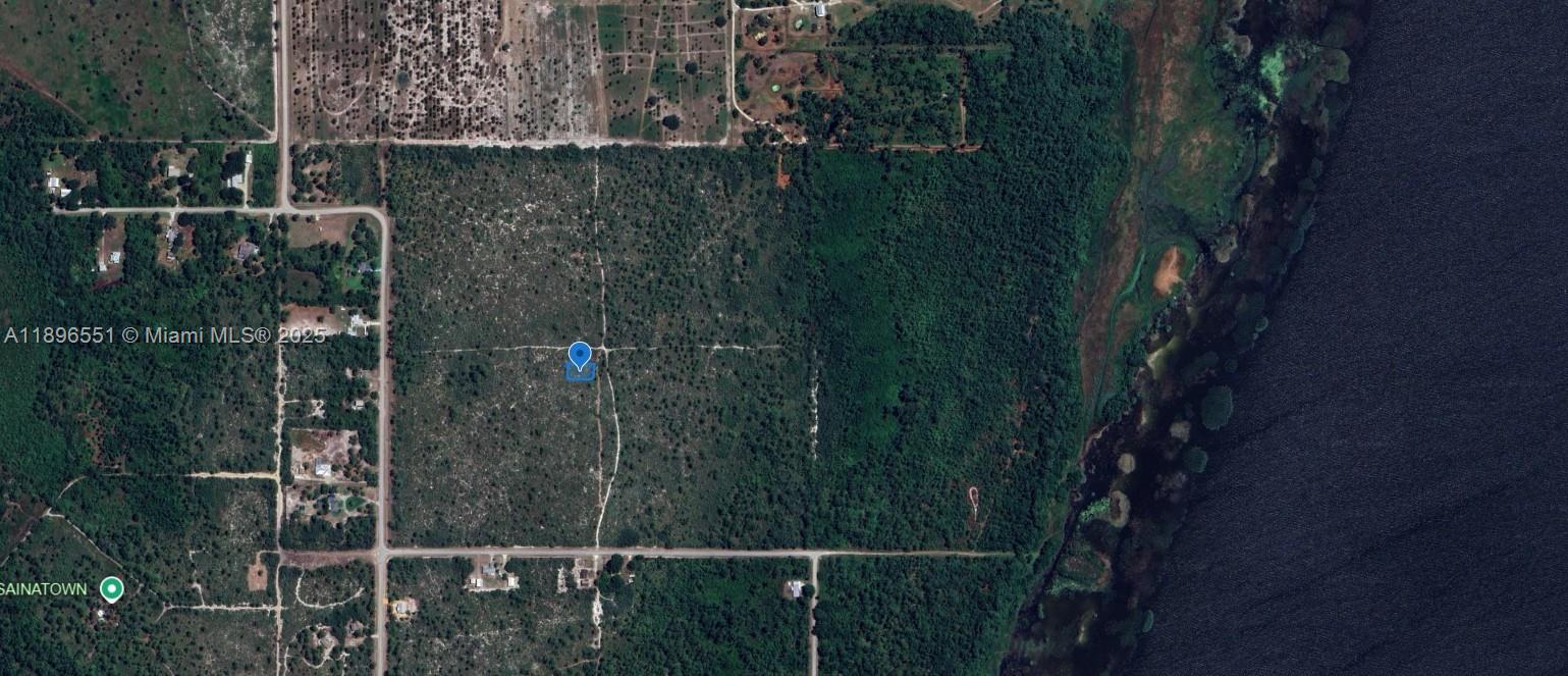 This is an aerial map view of a large, undeveloped, wooded lot near a lake — 700 Watterson, Lake Placid FL 33852, LAKE PLACID, FL
