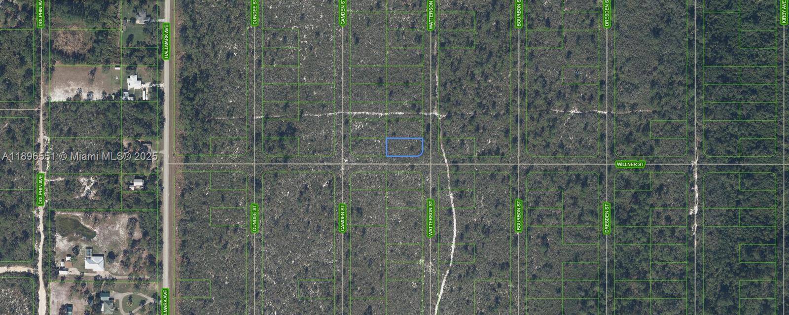 This is an aerial map showing a highlighted vacant lot in a wooded residential area — 700 Watterson, Lake Placid FL 33852, LAKE PLACID, FL