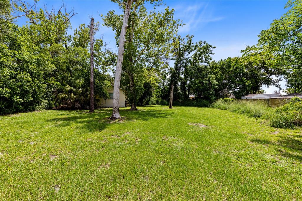 A grassy backyard features several tall trees and a small house in the background — 3711 N RONALD REAGAN BOULEVARD, LONGWOOD, FL