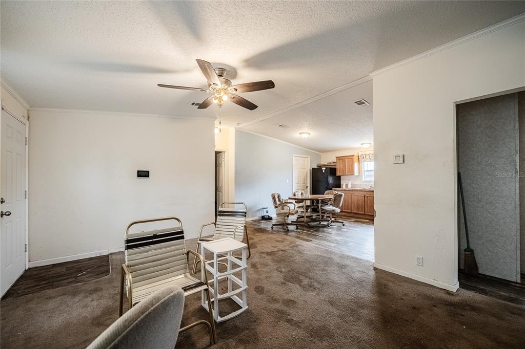 A living room with carpeted flooring leads to an open kitchen with wooden cabinets — 2308 KAY STREET, LAKE ALFRED, FL