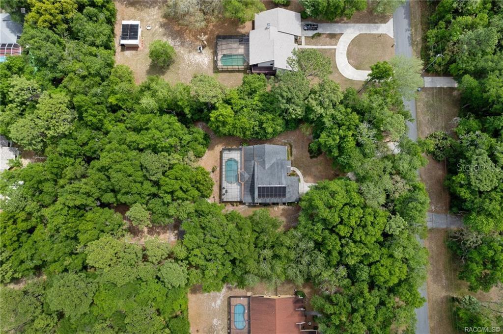 An aerial view shows three houses with swimming pools surrounded by dense green trees — 2853 W SUNRISE STREET, LECANTO, FL