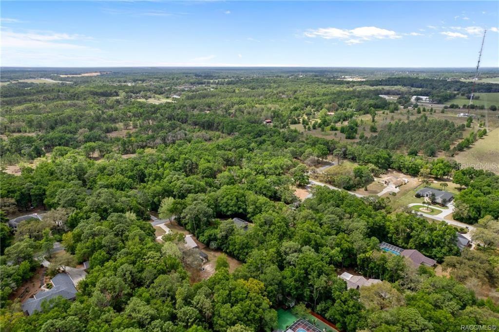 An aerial view shows several houses nestled within a dense, wooded residential area — 2853 W SUNRISE STREET, LECANTO, FL