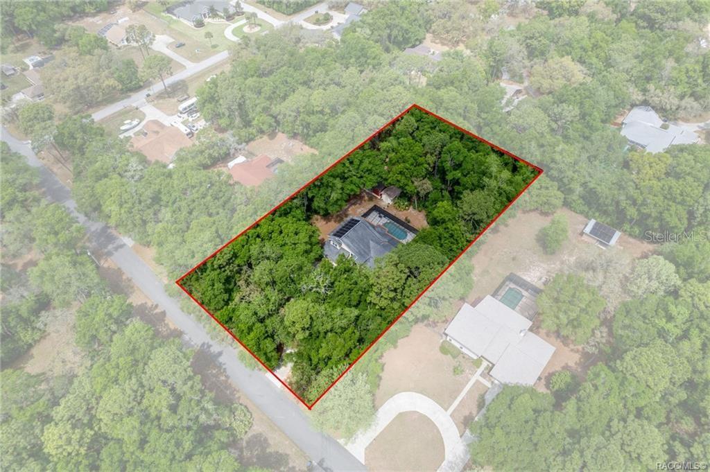 An aerial view shows a house with a pool surrounded by dense trees — 2853 W SUNRISE STREET, LECANTO, FL
