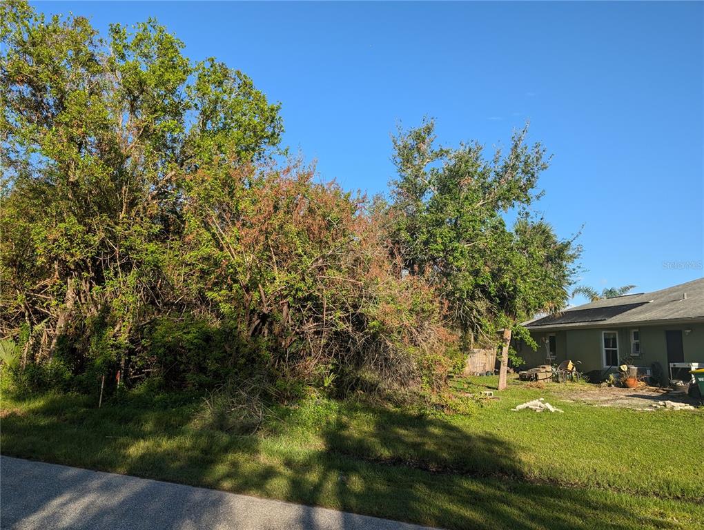 A grassy yard with dense trees and shrubs sits next to a single-story house — 725 CHEVY CHASE STREET, PORT CHARLOTTE, FL