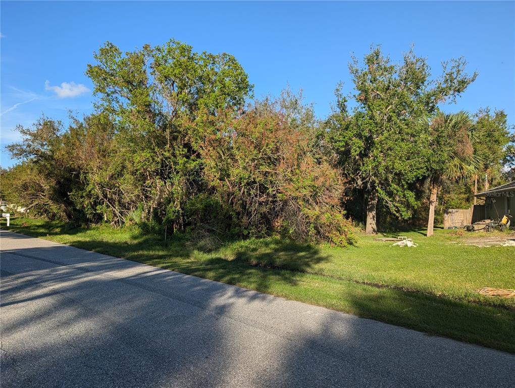 A paved road runs alongside a grassy lot filled with dense trees and shrubs — 725 CHEVY CHASE STREET, PORT CHARLOTTE, FL