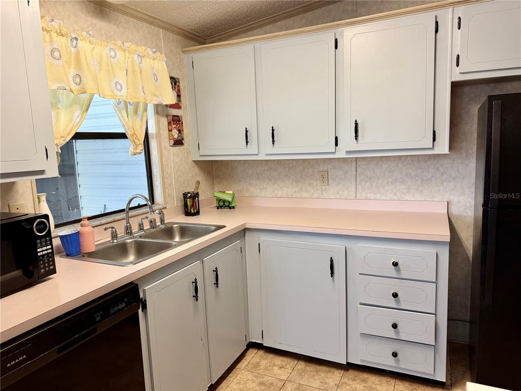A kitchen features light blue cabinets, a pink countertop, a double sink, and black appliances — 4637 BELLE GROVE, LEESBURG, FL