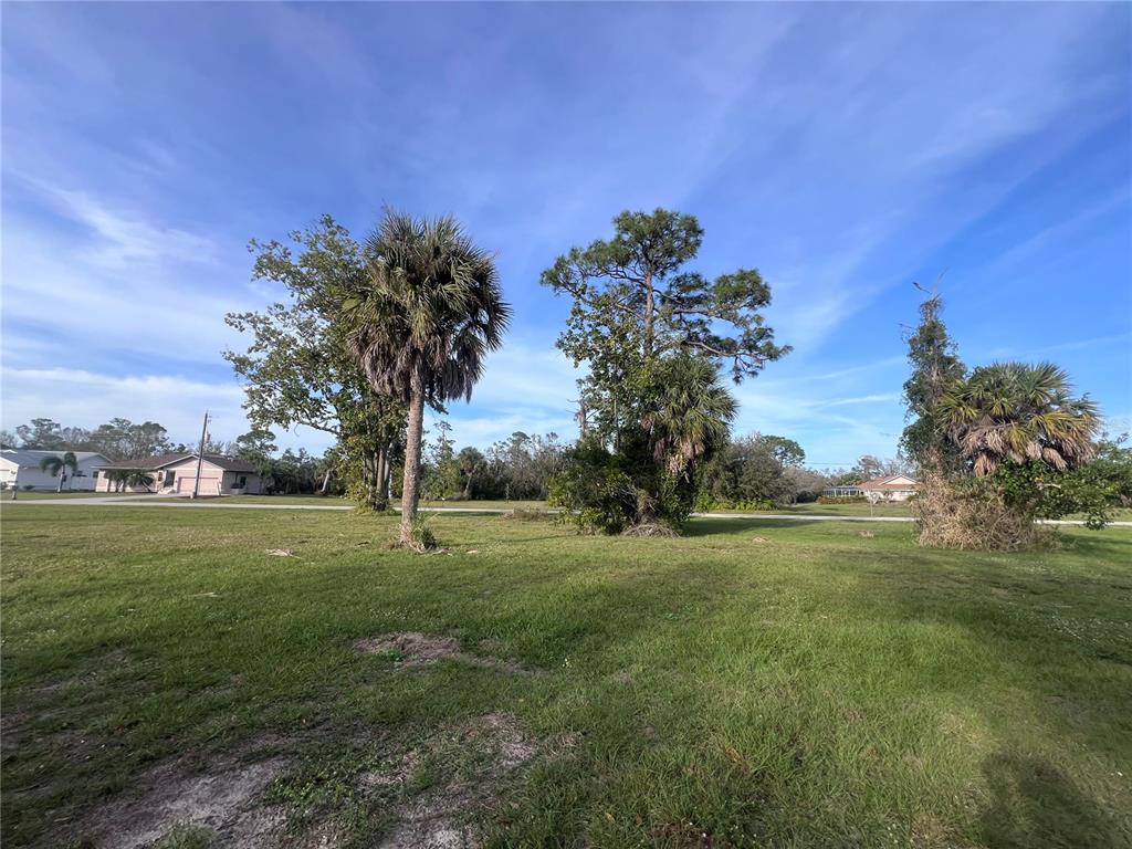 A grassy vacant lot features several palm and pine trees under a blue sky — 16811 ACAPULCO ROAD, PUNTA GORDA, FL