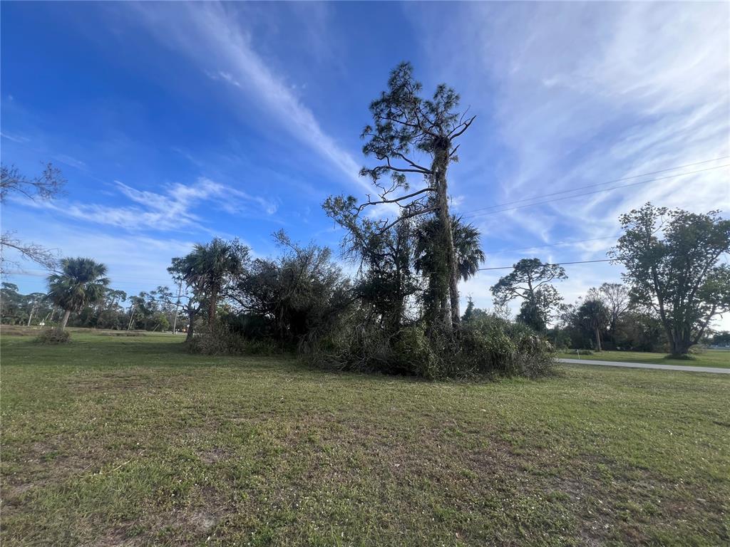 A grassy lot features a cluster of tall pine trees and palms under a blue sky — 16811 ACAPULCO ROAD, PUNTA GORDA, FL