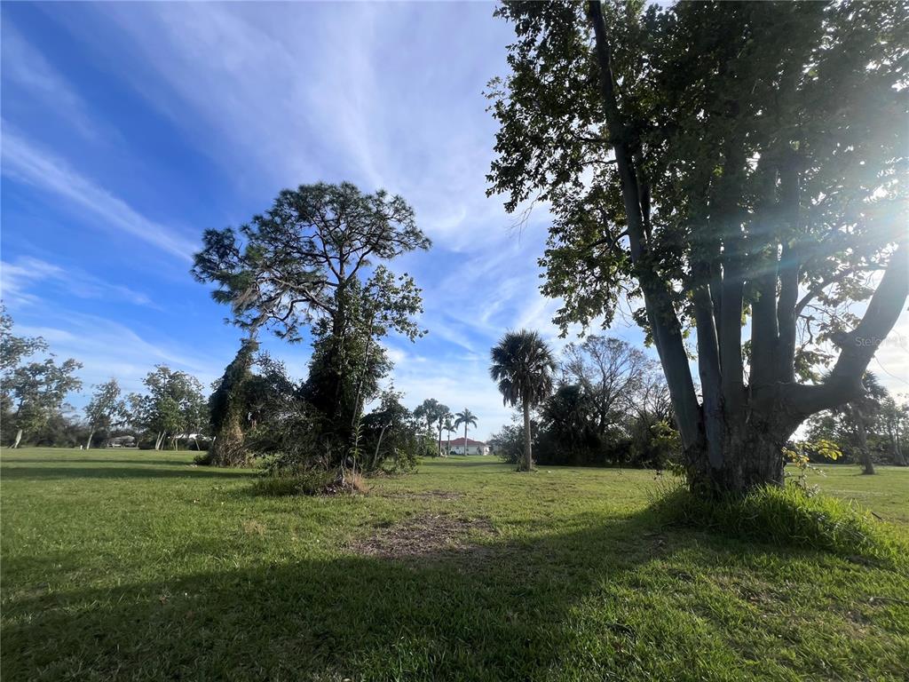 A grassy lot features several large trees under a bright blue sky — 16811 ACAPULCO ROAD, PUNTA GORDA, FL