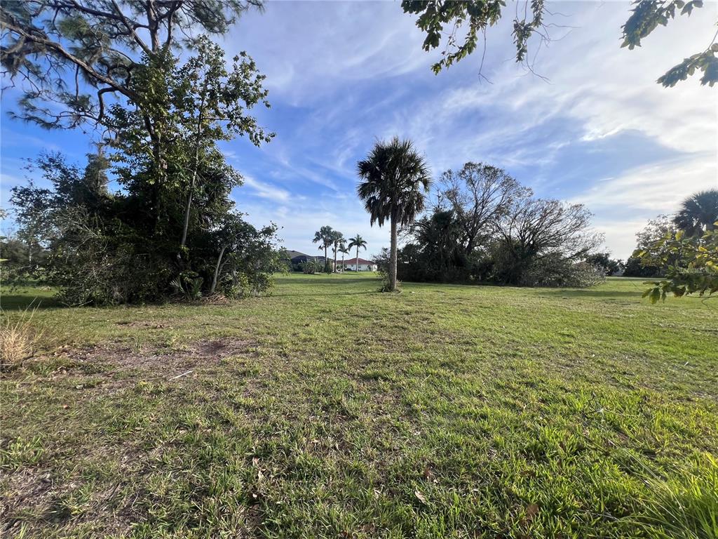 A grassy, open lot features scattered trees and palm trees under a blue sky — 16811 ACAPULCO ROAD, PUNTA GORDA, FL