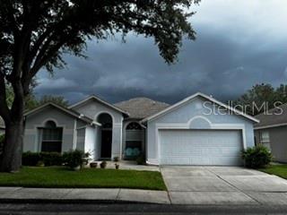 A single-story house with a two-car garage and a large tree under a stormy sky — 8806 CYPRESS HAMMOCK DRIVE, TAMPA, FL