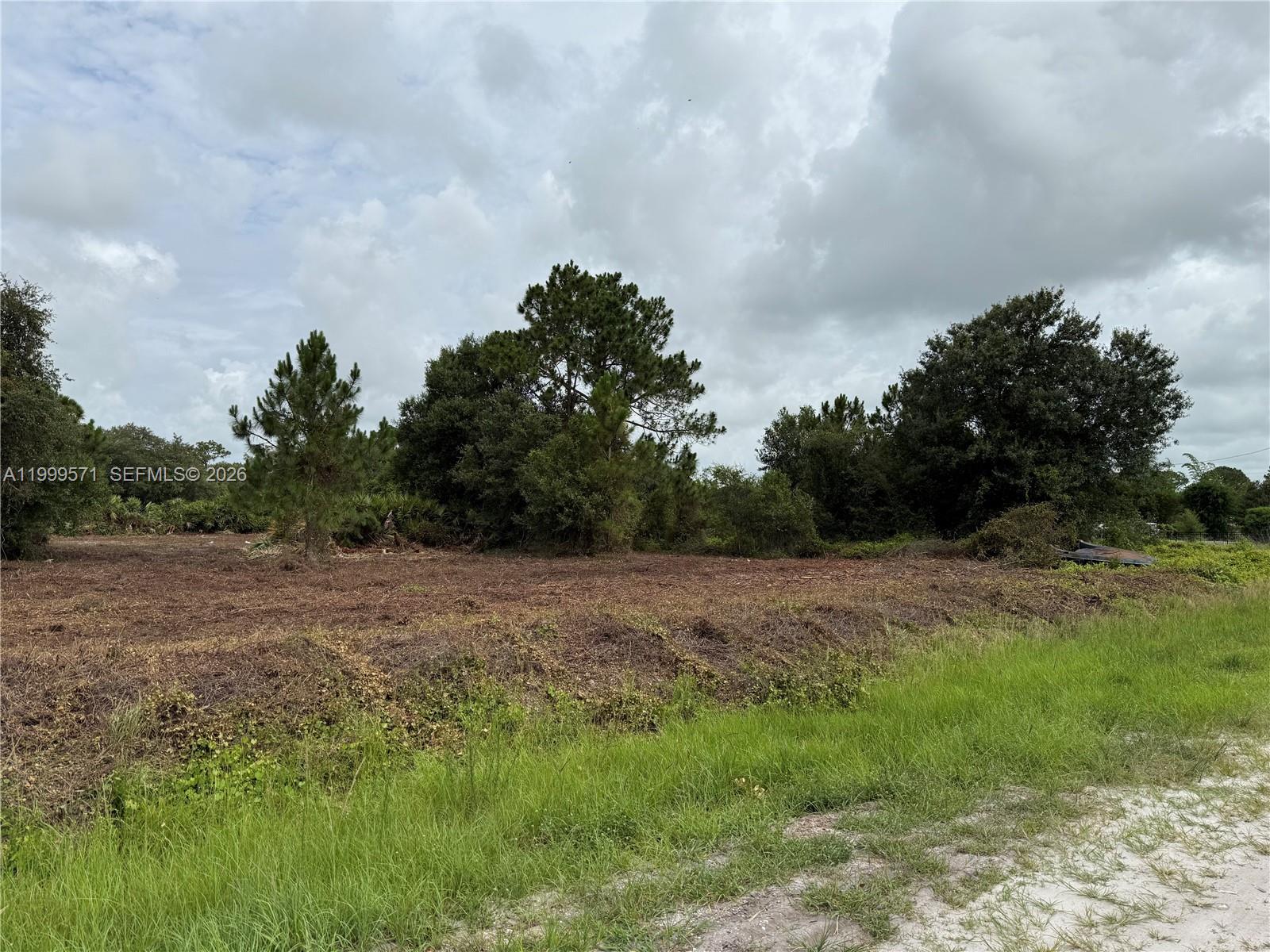A cleared, grassy lot features scattered trees under a cloudy sky — 760 N NOGAL ST, Clewiston FL 33440, CLEWISTON, FL