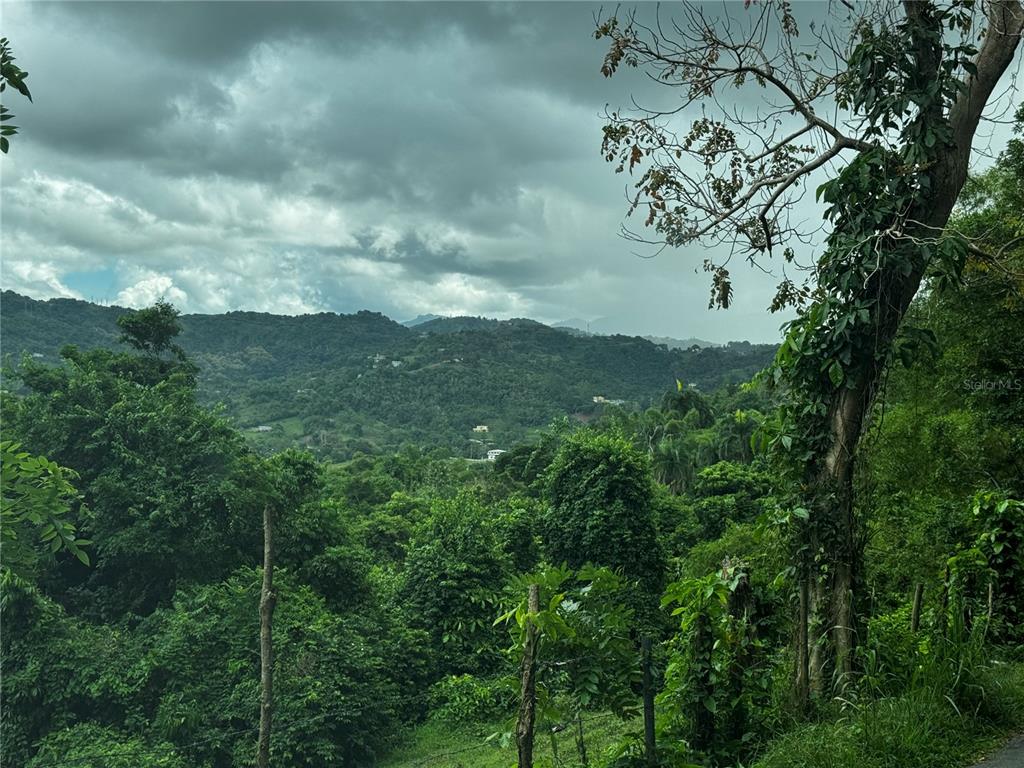 A view of a lush, hilly landscape under a cloudy sky — Carr 181 BO MASA KM 13 HM 2 Lote 3, GURABO, PR
