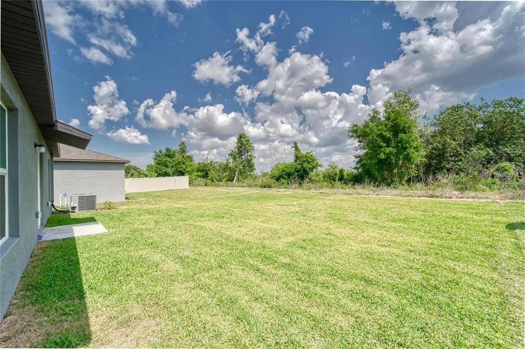 A grassy backyard extends from the side of a house toward a line of trees — 5514 BLUE AZURE DRIVE, WIMAUMA, FL