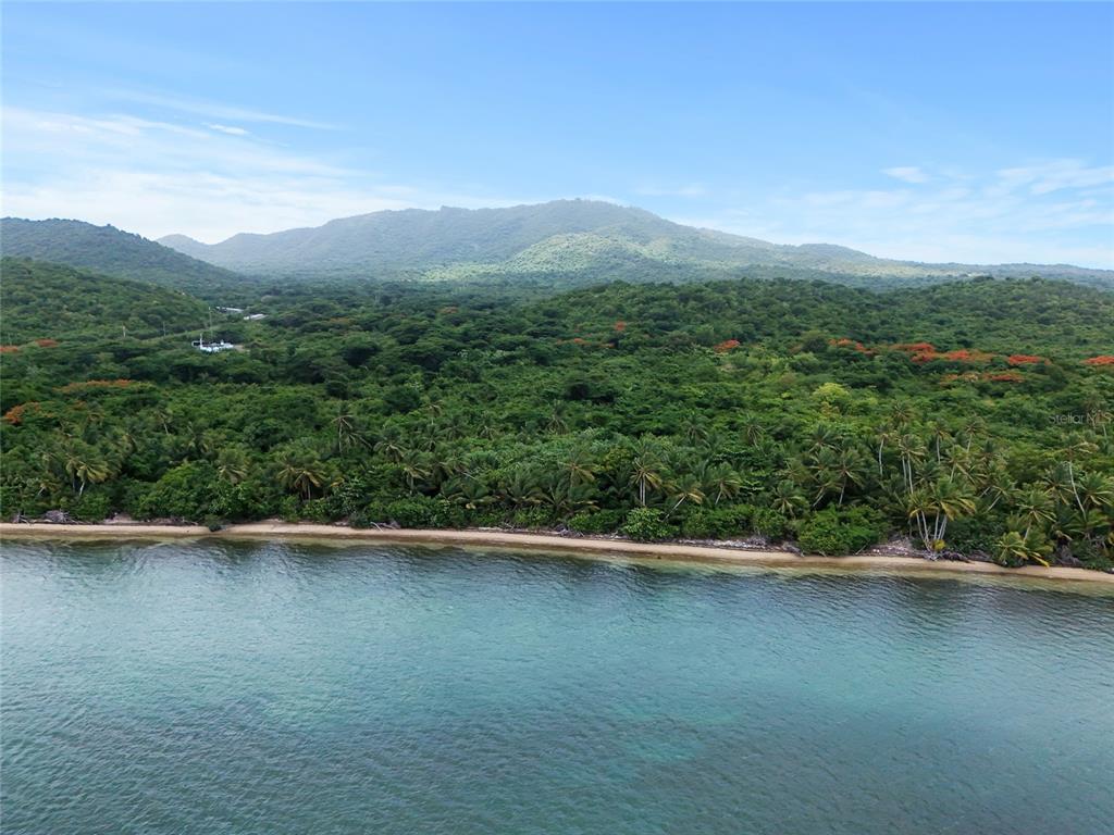 An aerial view shows a sandy beach bordered by dense tropical vegetation and distant mountains — Punta Arenas PUERTO REAL, VIEQUES, PR