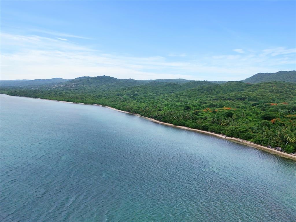 An aerial view shows a tropical coastline with a sandy beach and dense green forest — Punta Arenas PUERTO REAL, VIEQUES, PR