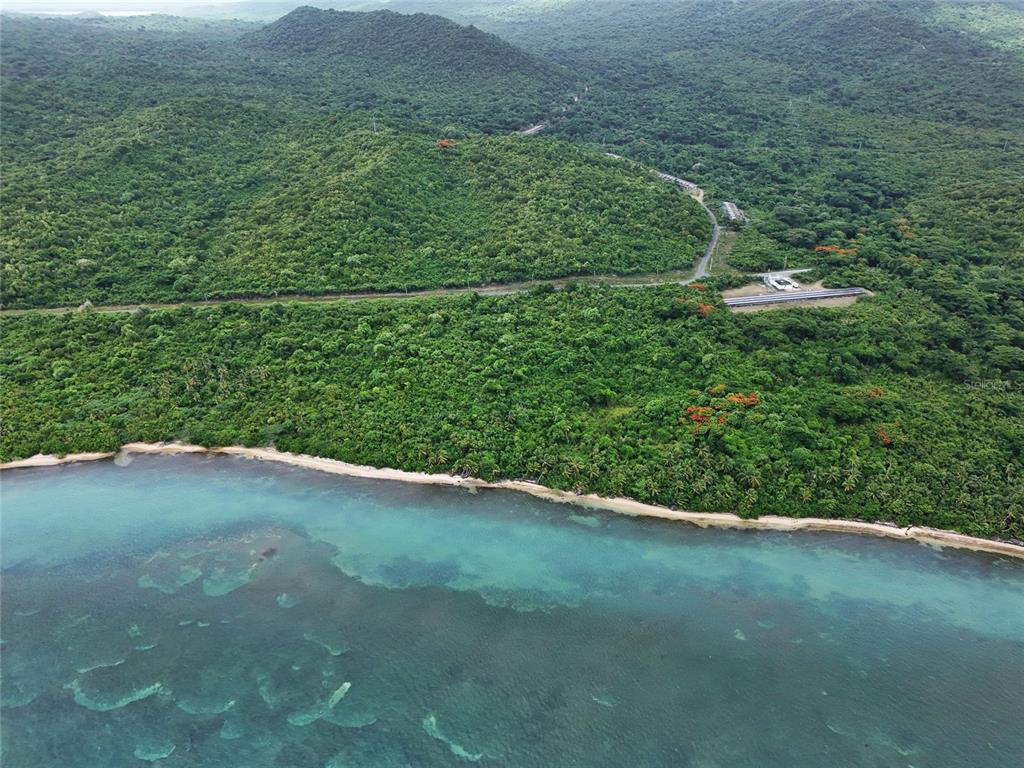 An aerial view of a lush, forested coastline with turquoise water and a small building — Punta Arenas PUERTO REAL, VIEQUES, PR