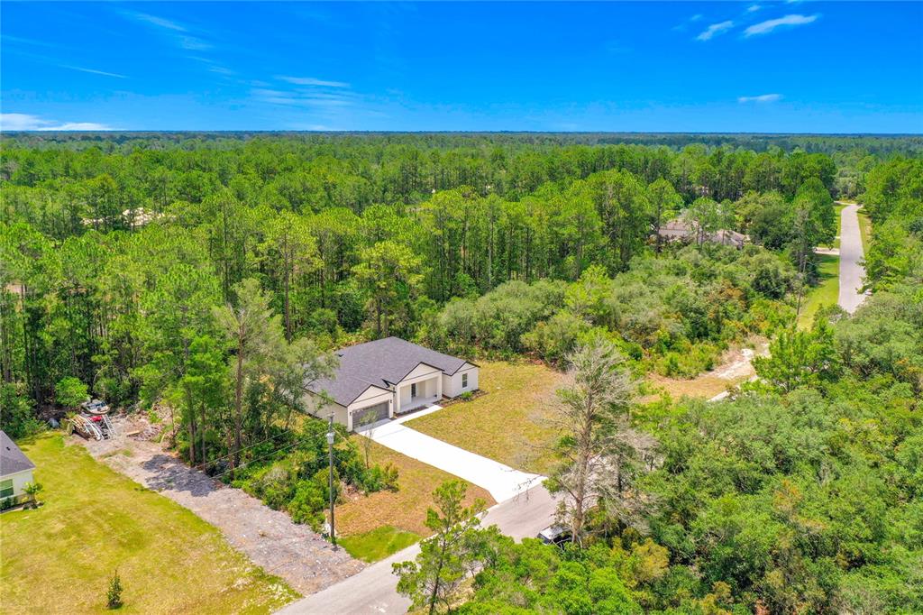 An aerial view shows a single-story house with a concrete driveway surrounded by dense forest — 41334 PERSIMMON STREET, EUSTIS, FL