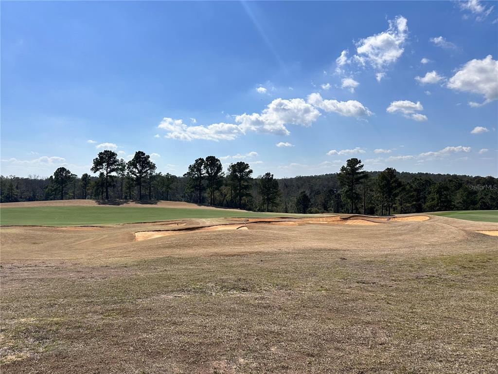 A view of a golf course fairway with sand bunkers and a line of trees — 16222 VETTA DRIVE, BELLA COLLINA, FL
